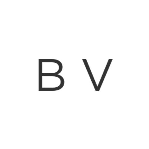 Buckley Ventures Logo